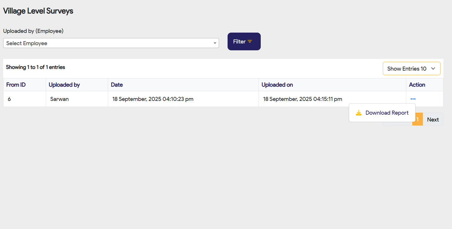Village Level Survey